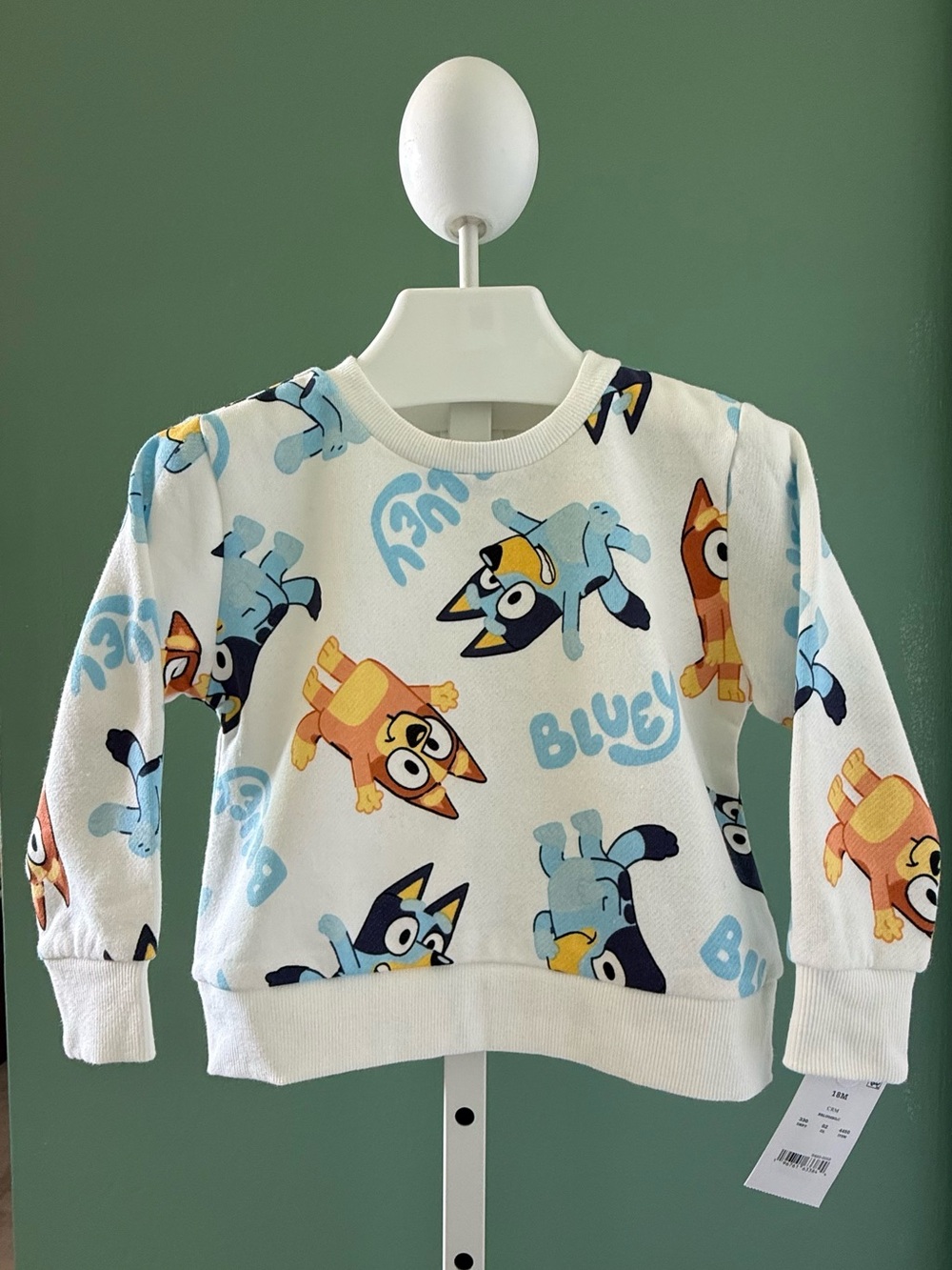 Kids Long-sleeve Pullover Sweatshirt with Bluey Character Print